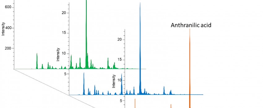 The Analysis of Human Serum N-Glycosylation in Patients with Primary and Metastatic Brain Tumors 