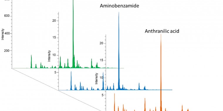 The Analysis of Human Serum N-Glycosylation in Patients with Primary and Metastatic Brain Tumors 