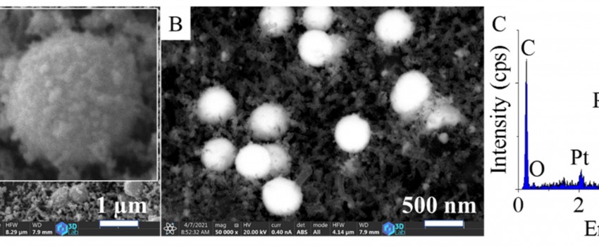 Development of Catalysts for Hydrogenation of Chlorate Ions in Aqueous Solution