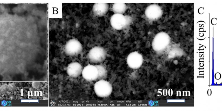 Development of Catalysts for Hydrogenation of Chlorate Ions in Aqueous Solution