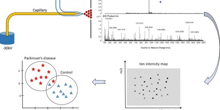 Serum N-Glycosylation 